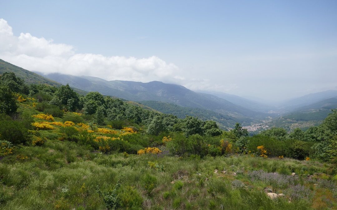 Viewpoints in Valle del Jerte