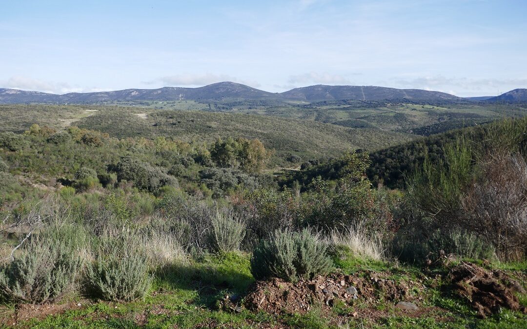 Things to know before travelling to Extremadura in autumn